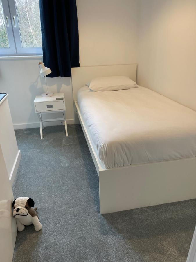 The Beeches - Serviced Duplex Apartment Шефилд Экстерьер фото